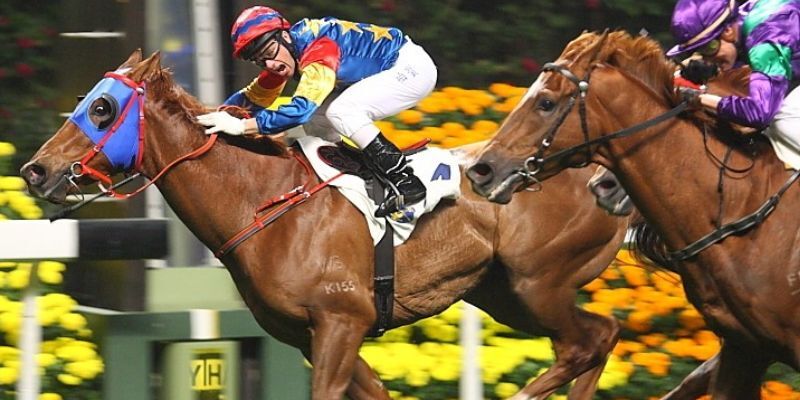 Đua Ngựa 789Club Đua Ngựa 789Club