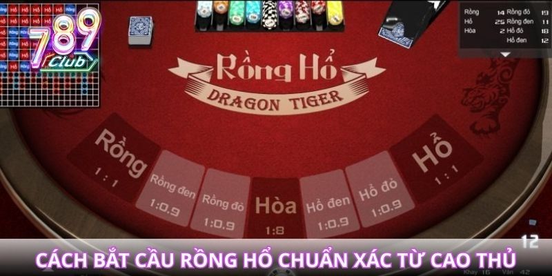Hướng dẫn cách bắt cầu rồng hổ chuẩn xác từ cao thủ