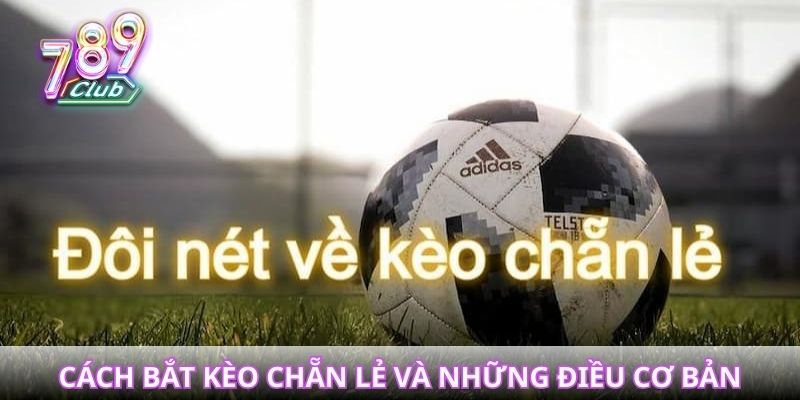 Cách bắt kèo chẵn lẻ và những điều cơ bản cần nắm vững
